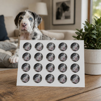 Op maat gemaakte ronde foto van huisdier sticker