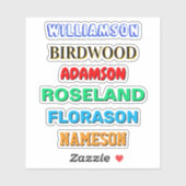 Op maat gemaakte stickers met achternaam (waterdic (Vel)