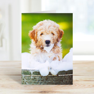 Op maat gemaakte wenskaarten met foto's van huisdi kaart