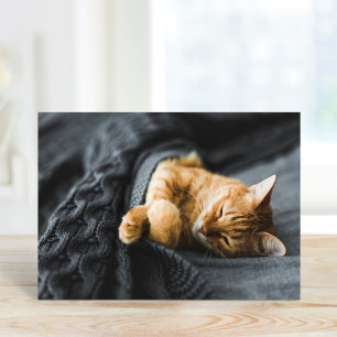 Op maat gemaakte wenskaarten met foto's van huisdi kaart