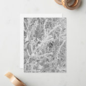 Op maat gemaakte winter ijzige dennenboom blanco n notitiekaartje (Voorkant / Achterkant in situ)