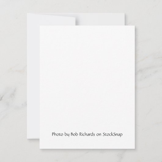 Op maat gemaakte winter ijzige dennenboom blanco n notitiekaartje (Achterkant)