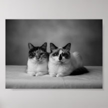 Op maat gemaakte zwart-wit huisdier poster 4K – Pr