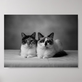 Op maat gemaakte zwart-wit huisdier poster 4K – Pr