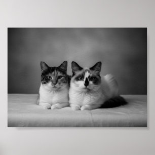 Op maat gemaakte zwart-wit huisdier poster 4K – Pr