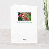 "OP MIJN ANDERE MOM"/HAPPY MOEDERDAG/FLORAL KAART (Achterkant)