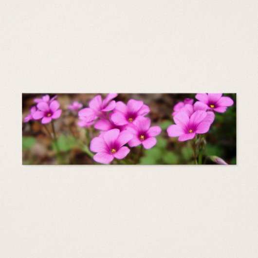 Op mijn Bladwijzer voor de deur Mini Visitekaartjes (Voorkant)