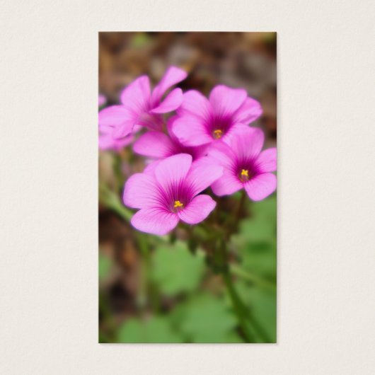 Op mijn Bladwijzer voor de deur Visitekaartje (Voorkant)