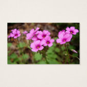 Op mijn Bladwijzer voor de deur Visitekaartje (Achterkant)