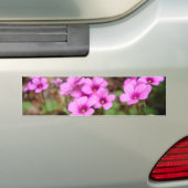 Op mijn Bumpersticker in de deur (Op auto)