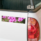 Op mijn Bumpersticker in de deur (Op Truck)