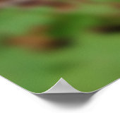 Op Mijn Drempel Afdruk Poster (Hoek)