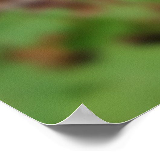 Op Mijn Drempel Afdruk Poster (Hoek)