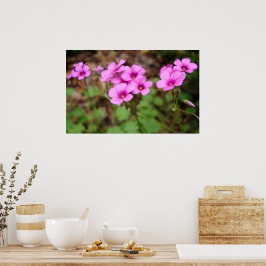 Op Mijn Drempel Afdruk Poster (Keuken)