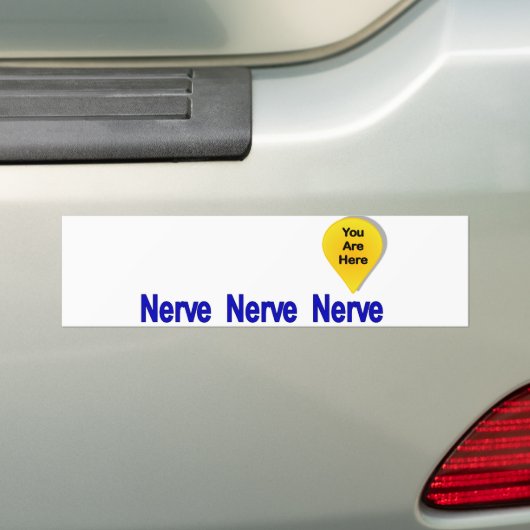 Op mijn laatste Nerve Bumpersticker (Op auto)
