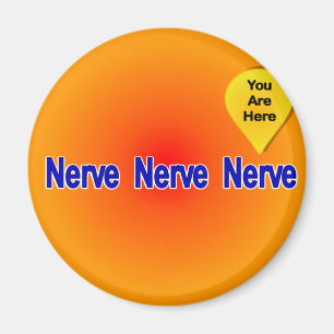 Op mijn laatste Nerve Magneet