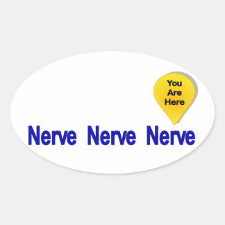 Op mijn laatste Nerve Ovale Sticker