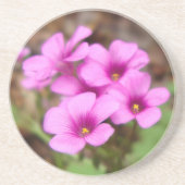 Op mijn Onderzetter in de deur (Voorkant)