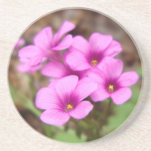 Op mijn Onderzetter in de deur (Voorkant)