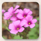 Op mijn Onderzetter van de Doorstep Cork (Voorkant)