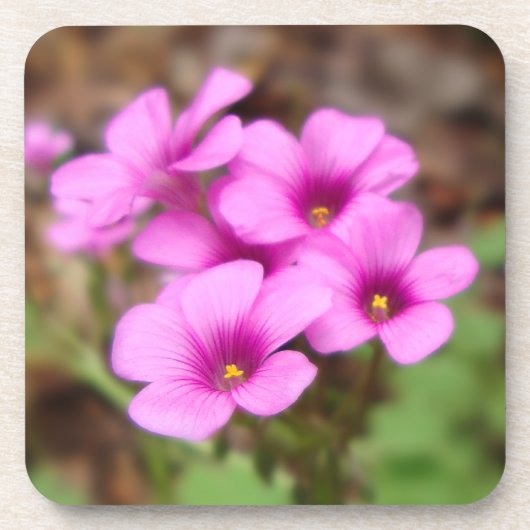 Op mijn Onderzetter van de Doorstep Cork (Voorkant)