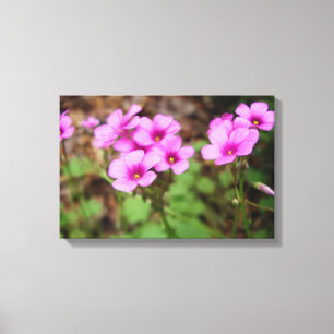 Op mijn portretcanvas canvas afdruk
