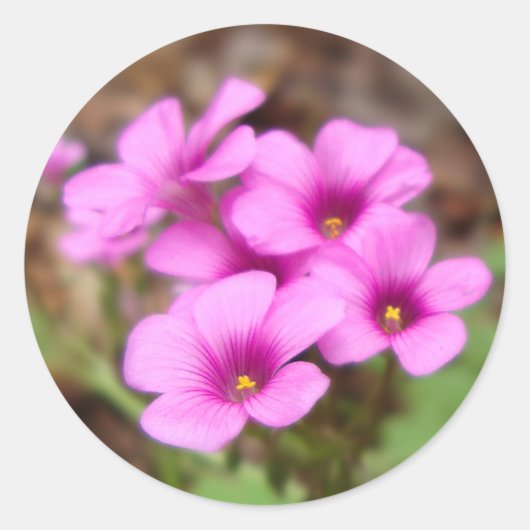 Op mijn portretstickers ronde sticker (Voorkant)