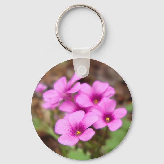 Op mijn Sleutelhanger in de deur (Voorkant)