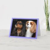 Op Moederdag Twee Cavalier King Charles Spaniel Kaart (Voorkant)