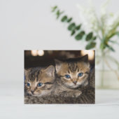 Op Momma's achterste Briefkaart (Staand voorkant)