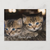 Op Momma's achterste Dank je Briefkaart (Voorkant)