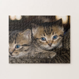 Op Momma's Rug Jigzaag Puzzle Legpuzzel