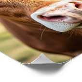 Op naar de Cattle Ranch Koe Poster (Hoek)