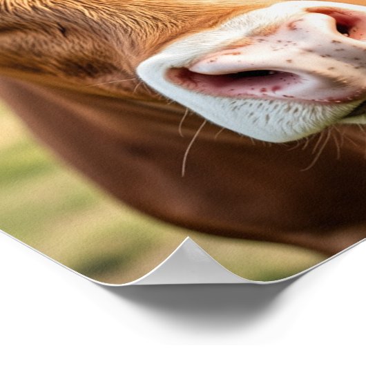 Op naar de Cattle Ranch Koe Poster (Hoek)