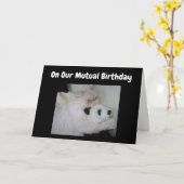 OP ONZE ***WEDERZIJDSE VERJAARDAG*** HUMOR KAART (Gele Bloem)