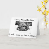 OP ONZE "WEDERZIJDSE VERJAARDAG" WENS HET WAS IN P KAART (Gele Bloem)