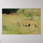 "Op patrouille" Poster (Voorkant)