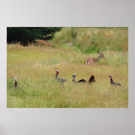 "Op patrouille" Poster (Voorkant)