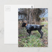 Op puntpuppy briefkaart (Voorkant / Achterkant)