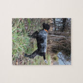 Op puntpuppy legpuzzel (Horizontaal)