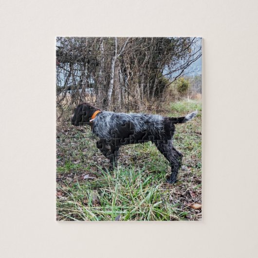 Op puntpuppy legpuzzel (Verticaal)