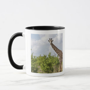 Op safari in Tanzania, Afrika. 2 Mok