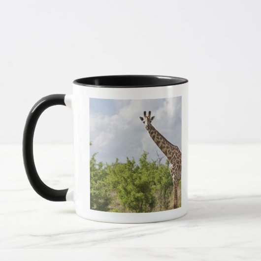 Op safari in Tanzania, Afrika. 2 Mok (Links)