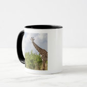 Op safari in Tanzania, Afrika. 2 Mok (Voorkant links)