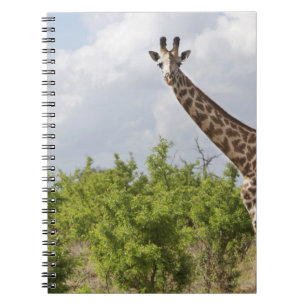 Op safari in Tanzania, Afrika. 2 Notitieboek