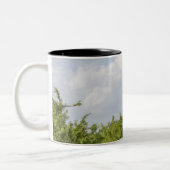 Op safari in Tanzania, Afrika. 2 Tweekleurige Koffiemok (Links)