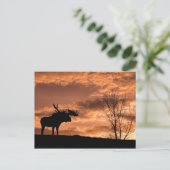   op Sunset Post Card Briefkaart (Staand voorkant)