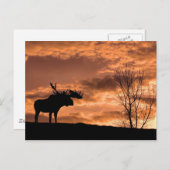   op Sunset Post Card Briefkaart (Voorkant / Achterkant)