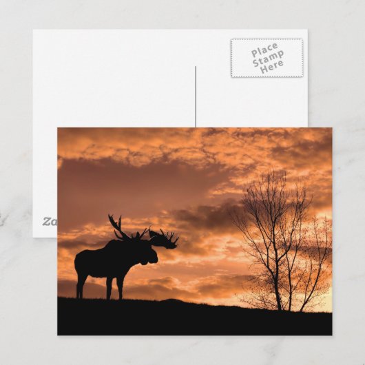   op Sunset Post Card Briefkaart (Voorkant / Achterkant)