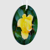 Op Sunshine Roos #1 Ornament lopen (voorkant)